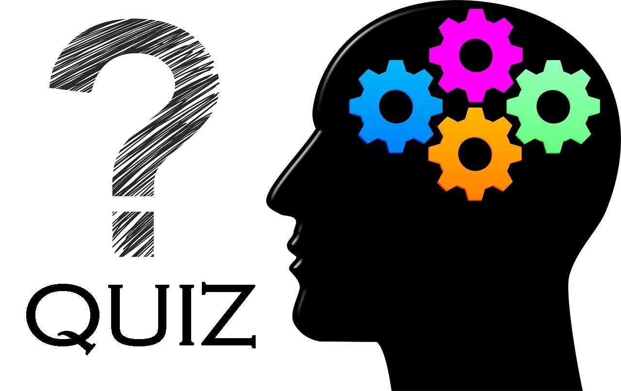 Quiz: teste seus conhecimentos gerais